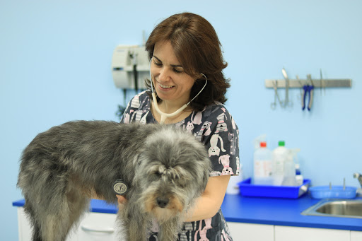 Centro Clínico Veterinario Soraya Sebastián – El Molar