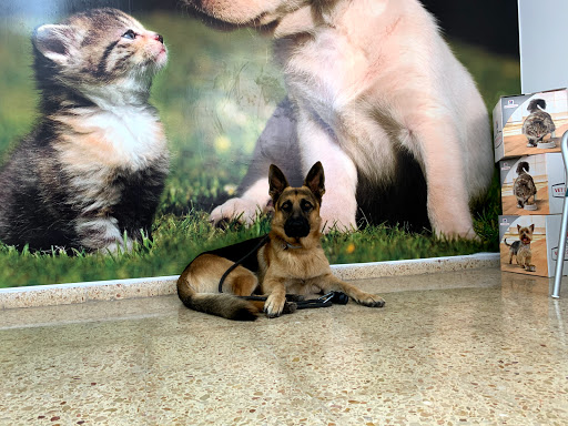 Centro Clínico Veterinario Urgencias – Massamagrell