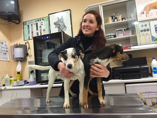 Centro Clínico Veterinario del Duranguesado – Durango