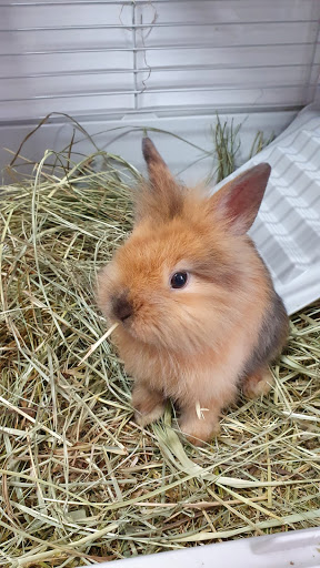 Centro Médico Veterinario Maidagan – Getxo