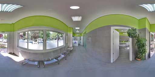 Centro Quirúrgico Veterinario Ahc/centro Veterinario Reyes Magos – Madrid