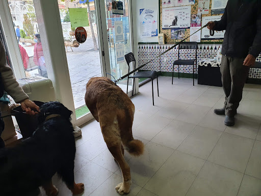 Centro Veterinario 7 Picos Cercedilla – Cercedilla