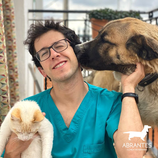 Centro Veterinario Abrantes – Madrid