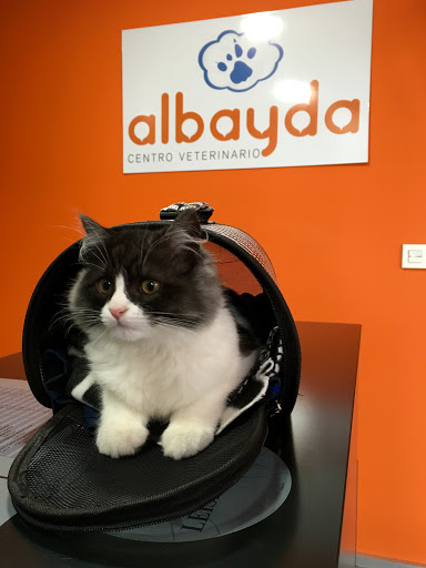 Centro Veterinario Albayda – Granada