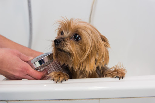 Centro Veterinario Aldavet – Rivas-Vaciamadrid