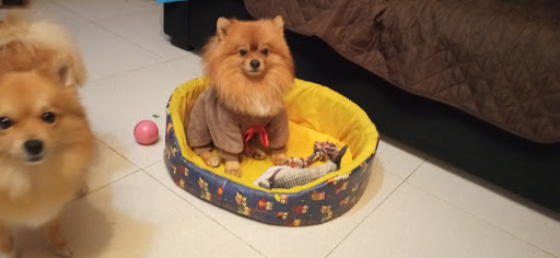 Centro Veterinario Almavet – Almadén