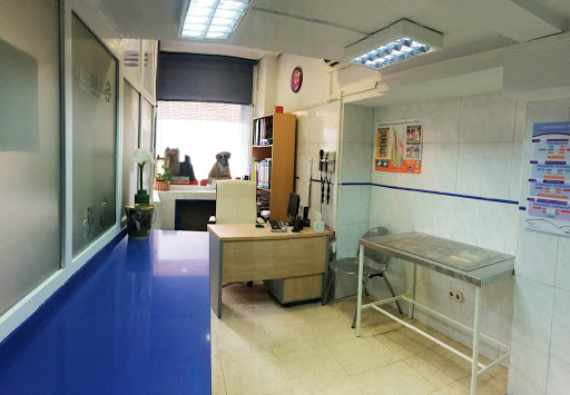 Centro Veterinario Amaniel – Madrid
