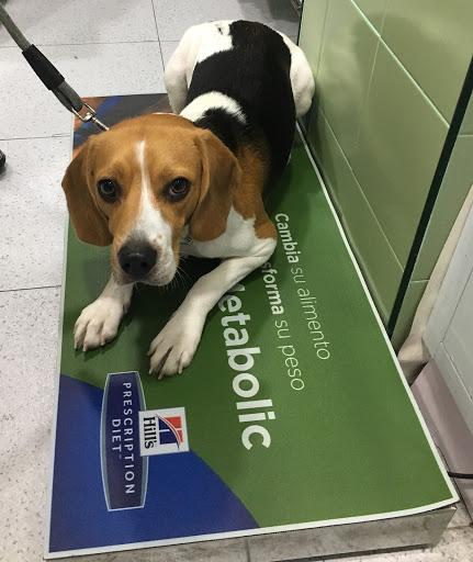 Centro Veterinario Amigo´s – Puerto Real