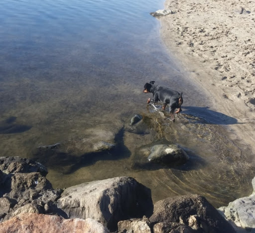 Centro Veterinario Ancares Courel – Becerreá