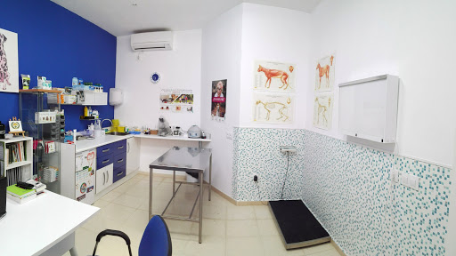 Centro Veterinario Animalines – Piedrabuena