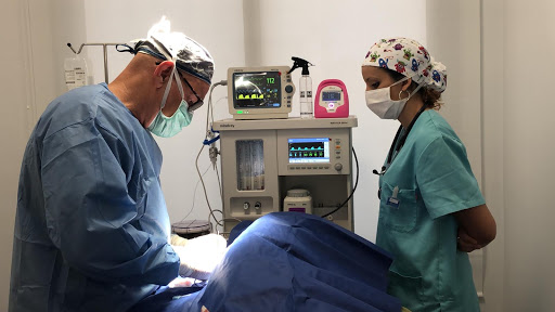 Centro Veterinario Antares – La Camella