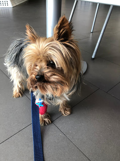 Centro Veterinario Aravaca – Madrid