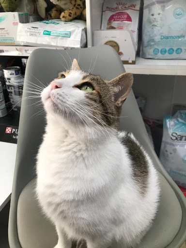 Centro Veterinario Area – Santiago de Compostela