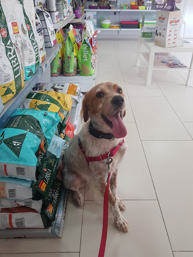 Centro Veterinario Azahara – Rincón de la Victoria