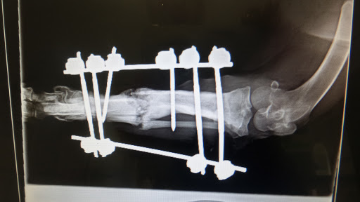 Centro Veterinario Benalup – Benalup-Casas Viejas