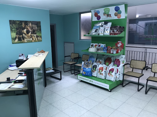 Centro Veterinario Besalú – Besalú