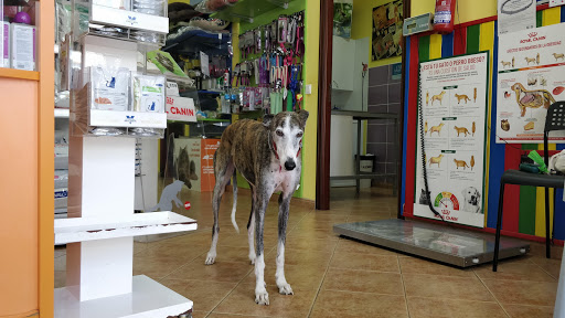 Centro Veterinario Brenes – Brenes