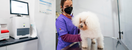 Centro Veterinario Cabrils – Cabrils