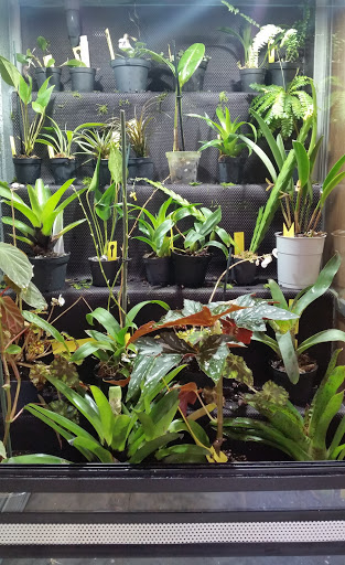 Centro Veterinario Camaleo. Camaleovet – Madrid