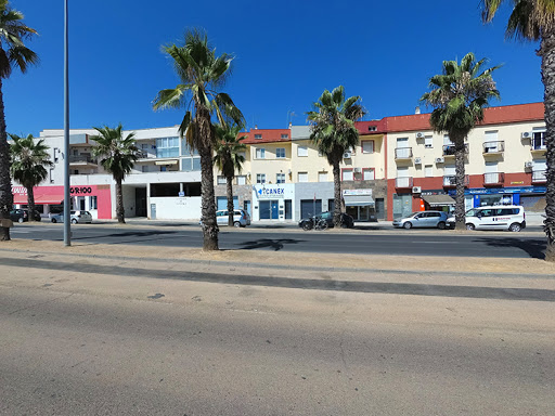 Centro Veterinario Canex – Don Benito