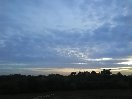 Centro Veterinario Cannis – Palma del Río