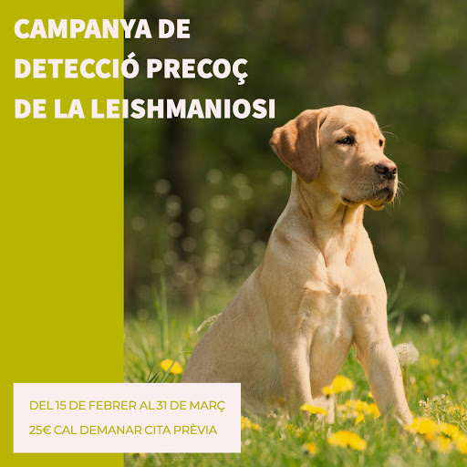 Centro Veterinario Cap I Cua Gelida – Gelida