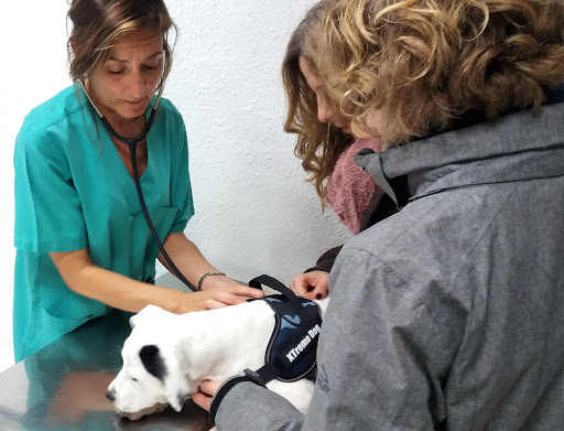 Centro Veterinario Castellbisbal – Castellbisbal