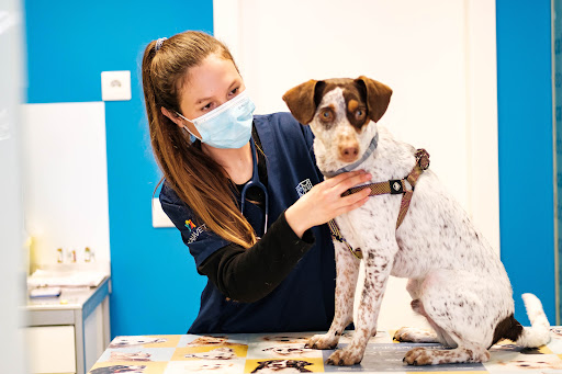 Centro Veterinario Catdog Tomares – Tomares