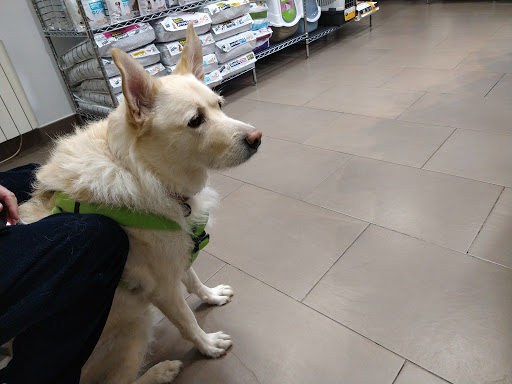 Centro Veterinario Centelles – Centelles