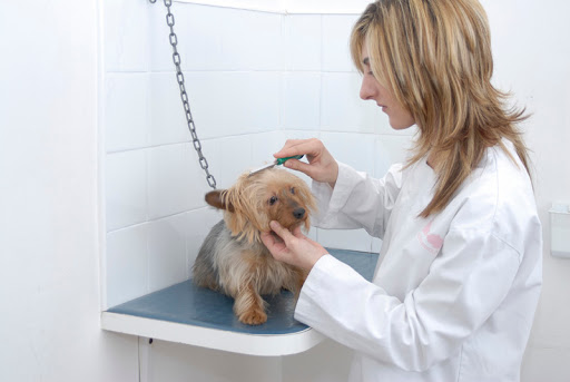 Centro Veterinario Cerdanyola – Cerdanyola del Vallès