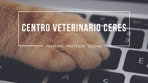 Centro Veterinario Ceres – Madrid