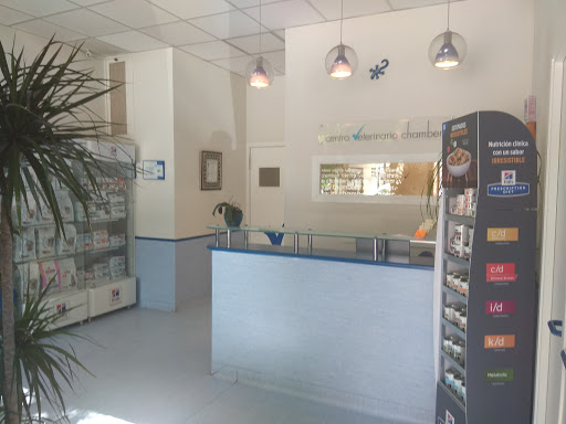 Centro Veterinario Chamberí – Madrid