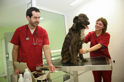 Centro Veterinario Ciutat Vella – Barcelona