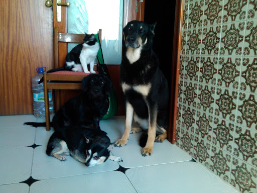 Centro Veterinario Conde de Aranda – Zaragoza