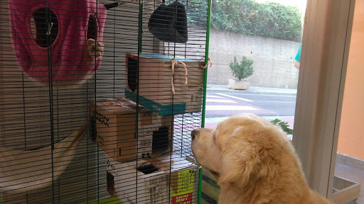 Centro Veterinario Cuarte – Cuarte de Huerva