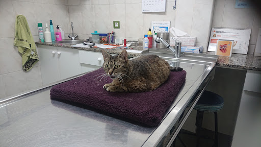 Centro Veterinario Das Rias Baixas Slp – Chapela