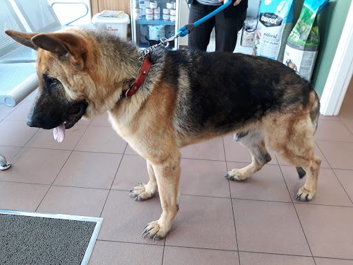 Centro Veterinario Do Morrazo – Cangas