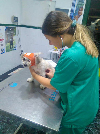 Centro Veterinario Dogo – Totana