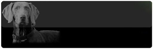 Centro Veterinario El Coronil – El Coronil