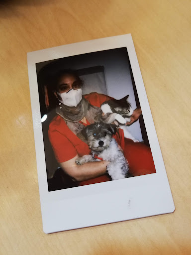 Centro Veterinario El Gat Roig – Valencia