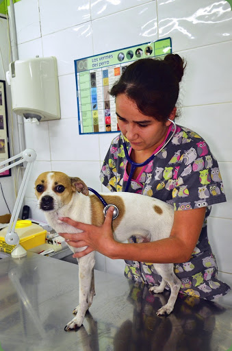 Centro Veterinario El Parque – Alcorcón