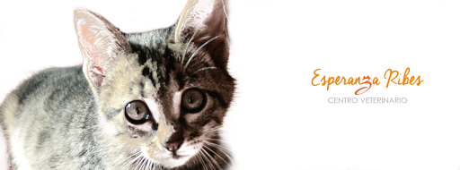 Centro Veterinario Esperanza Ribes – Alicante