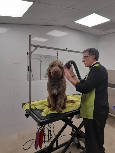 Centro Veterinario Esteiro – Ferrol