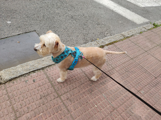 Centro Veterinario Eurocan – Guadarrama