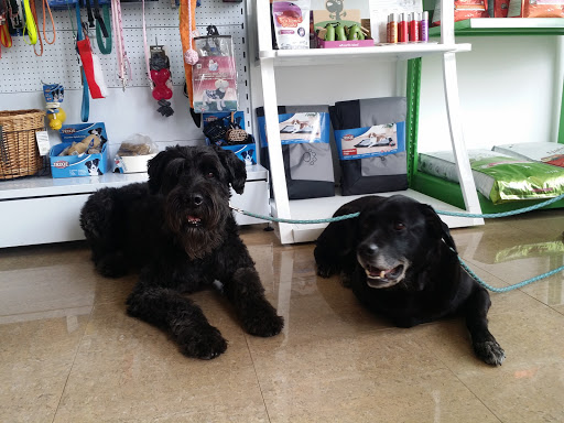 Centro Veterinario Fel&can – Lebrija