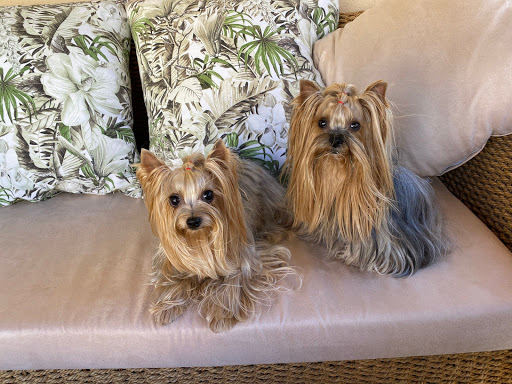 Centro Veterinario Finca Roja – Valencia