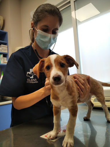 Centro Veterinario Fuensalida – Fuensalida