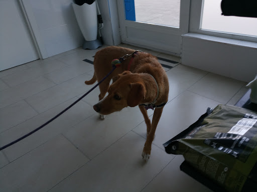 Centro Veterinario Fuentelucha – Alcobendas