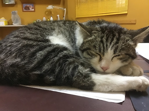 Centro Veterinario Fuentes de Ebro – Fuentes de Ebro