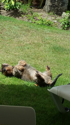 Centro Veterinario General Arrando – Madrid
